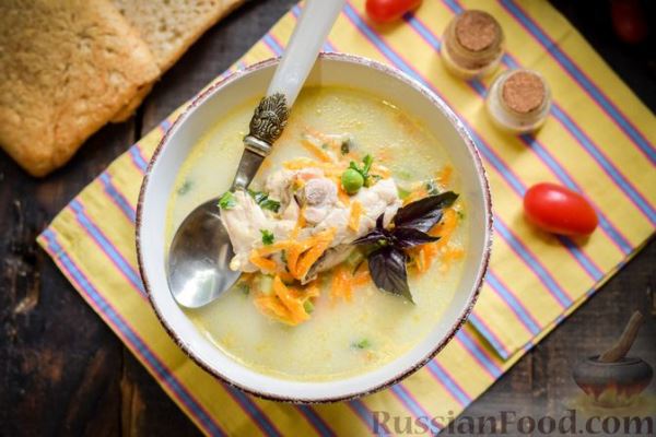 Куриный суп с овощами и сливками